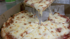 cheese pizza